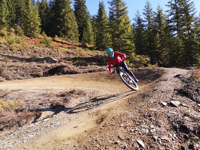 Sportchalet Viehhofen Ferienwohnungen